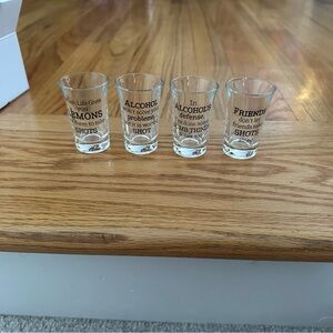 Clear Glass Shot Glass Set with Fun Quotes